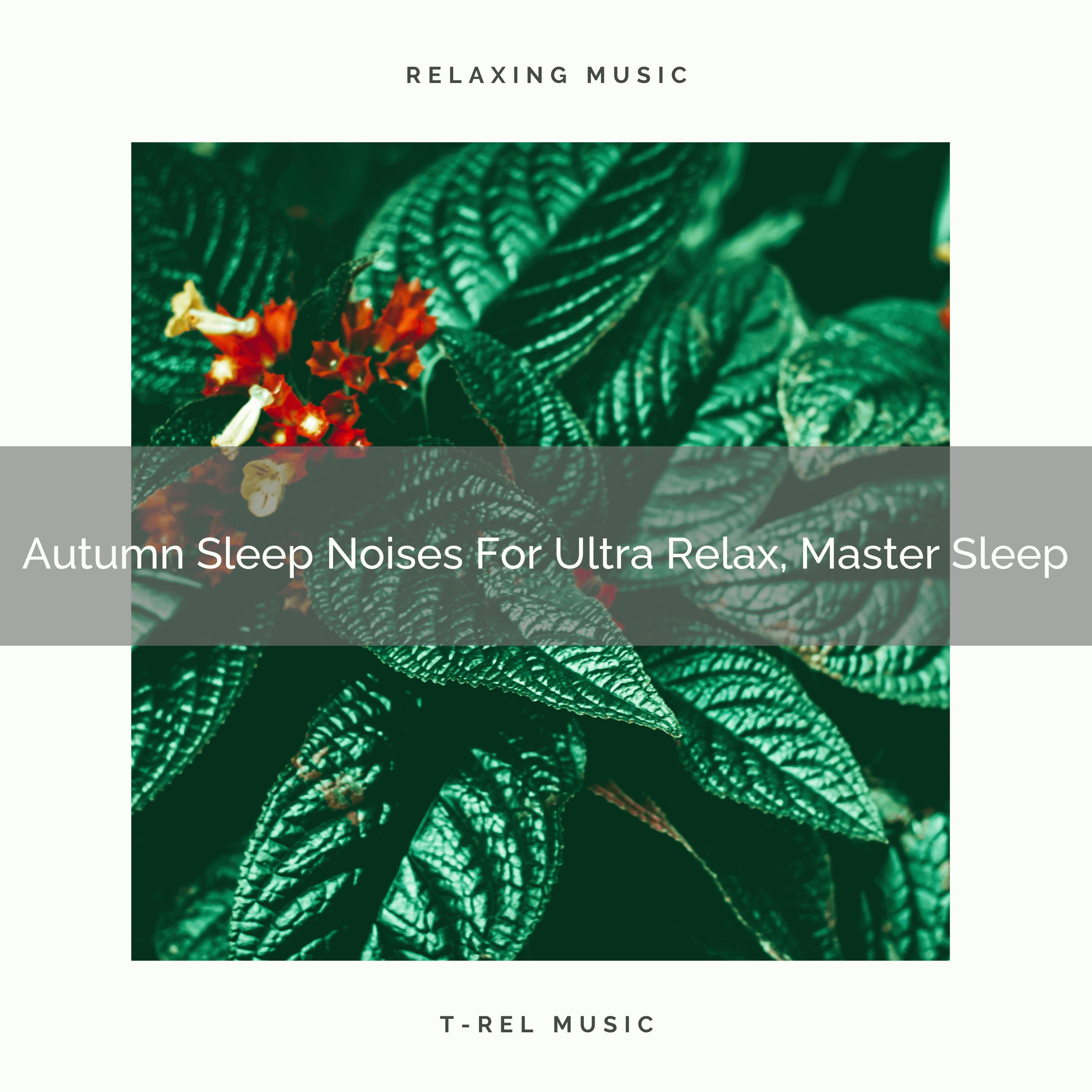 Autumn Sleep Noises For Ultra Relax, Master Sleep