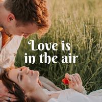 Love Is in the Air - Richard Clayderman 理查德克莱德曼 无钢琴 伴奏 AI版