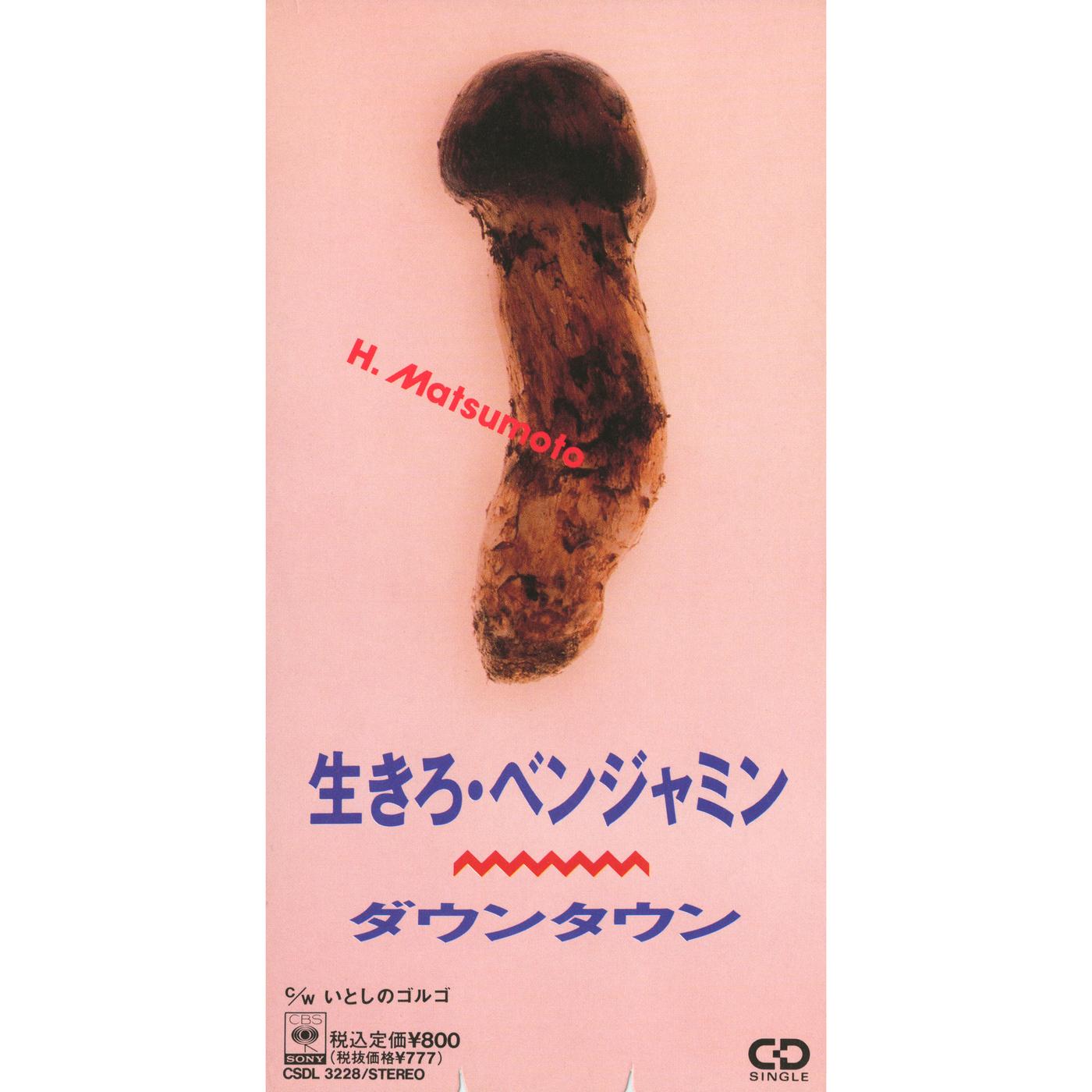 生きろ・ベンジャミン (ver.H.Matsumoto)