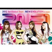 2NE1 2012 1st Global Tour - NEW EVOLUTION in Japan专辑