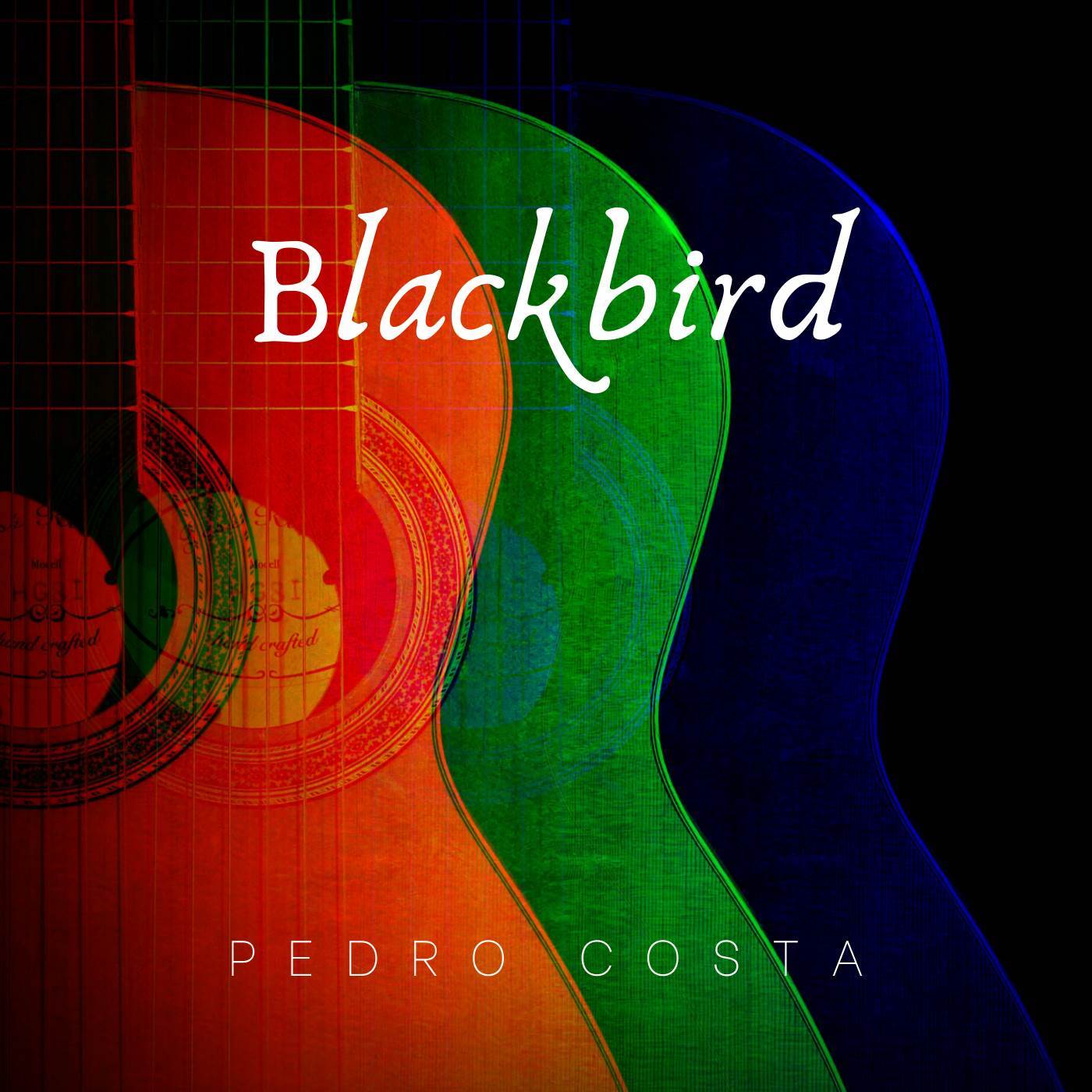 Blackbird