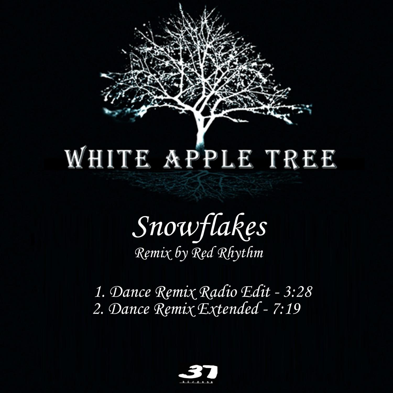 Snowflakes (Remix)