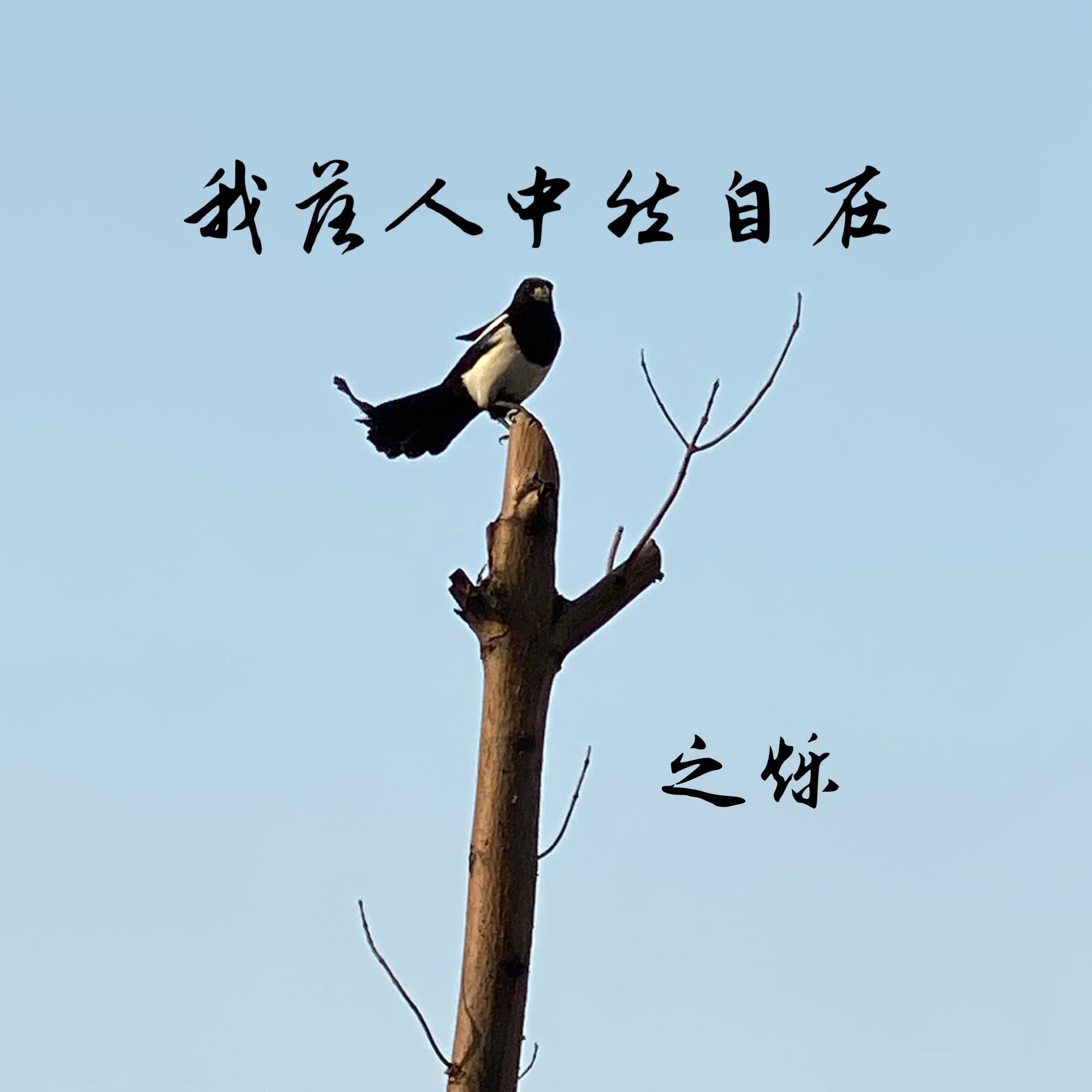 我落人中然自在