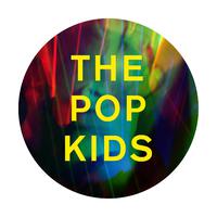 The Pop Kids (Radio Edit) - Pet Shop Boys (unofficial Instrumental) 无和声伴奏