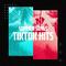 Summer Songs: Tik Tok Hits专辑