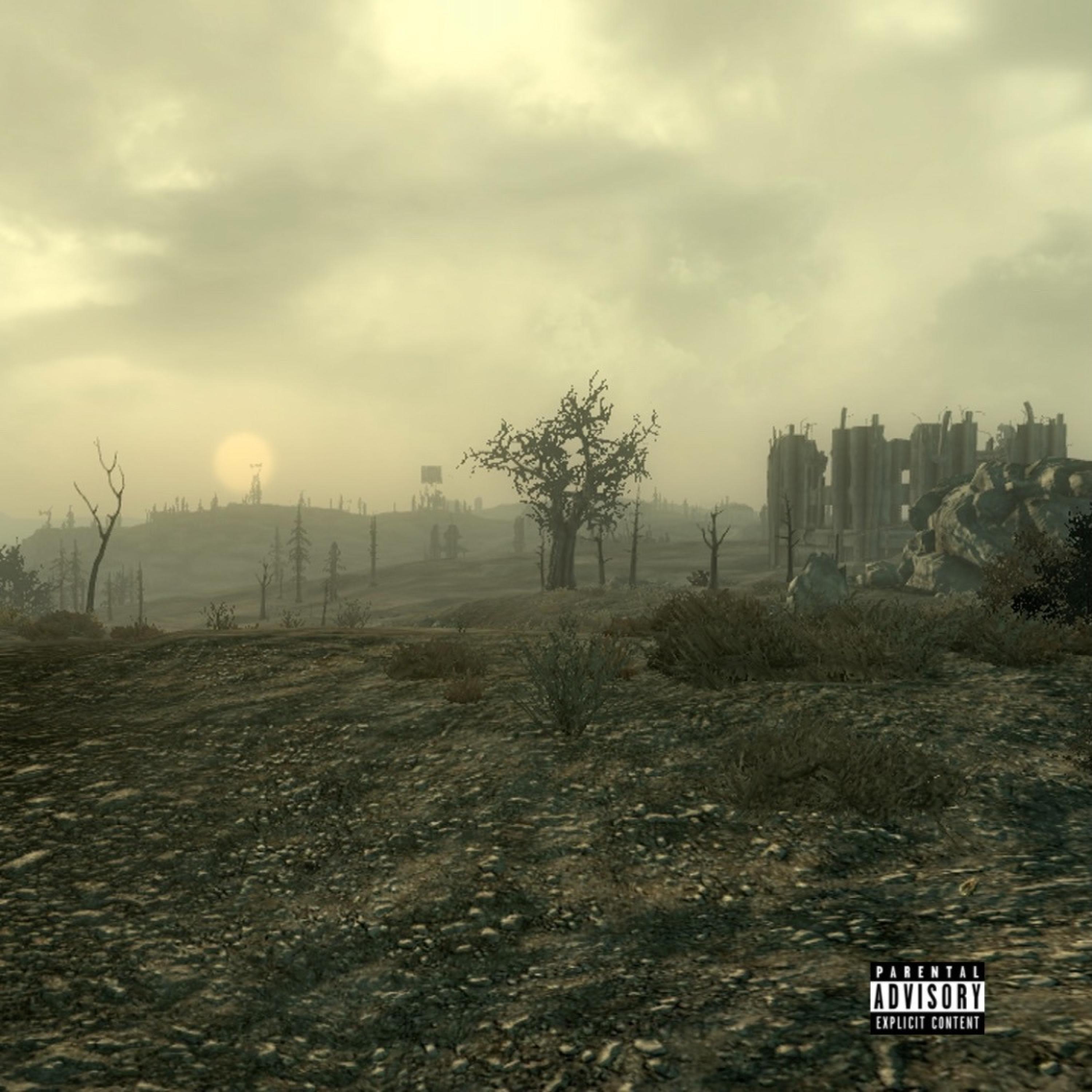 CAPITAL WASTELAND