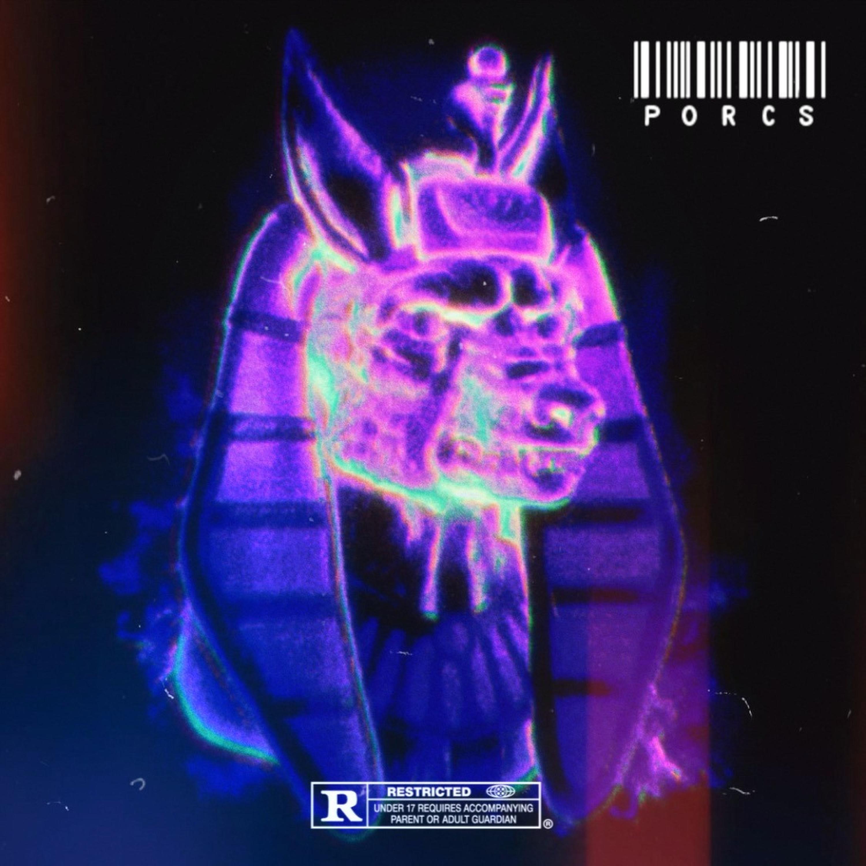 PORCS (feat. Shaman)
