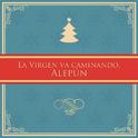 La Virgen Va Caminando, Alepún - Single专辑