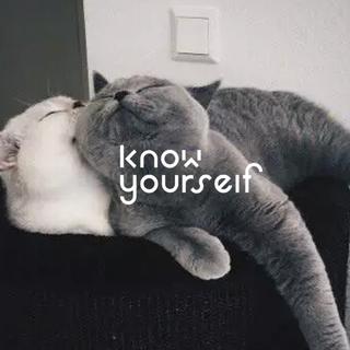 KY歌单之“最想用来向你告白的一句歌词”