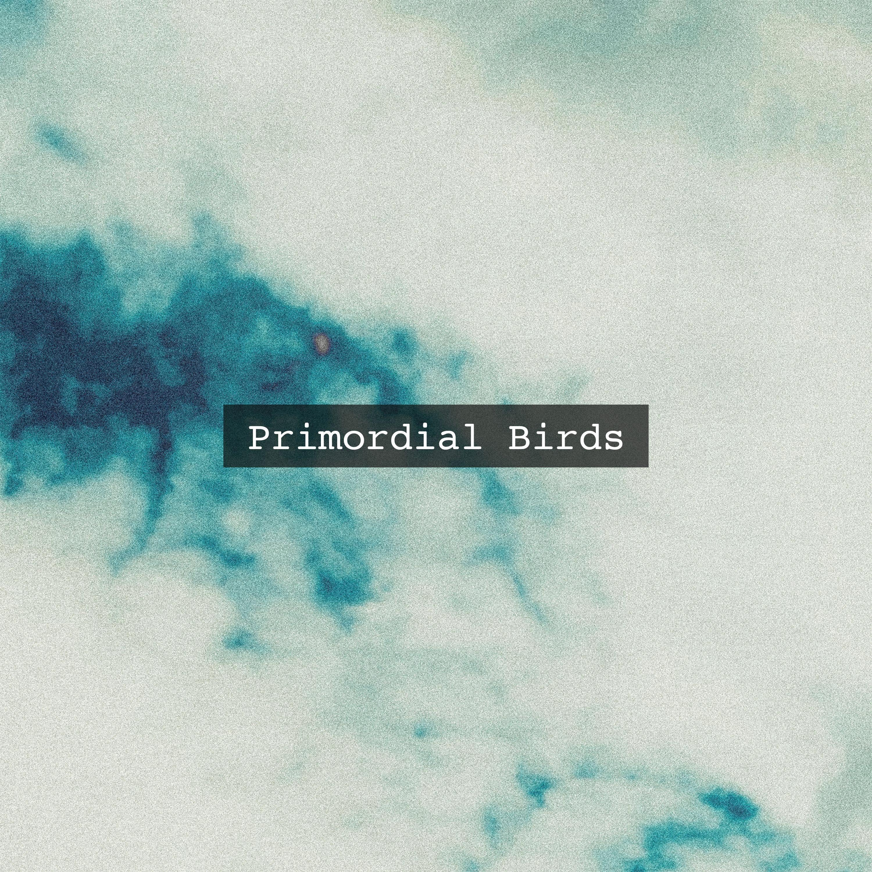 Primordial Birds