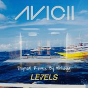 Avicii-Levels (Wthegg remix)