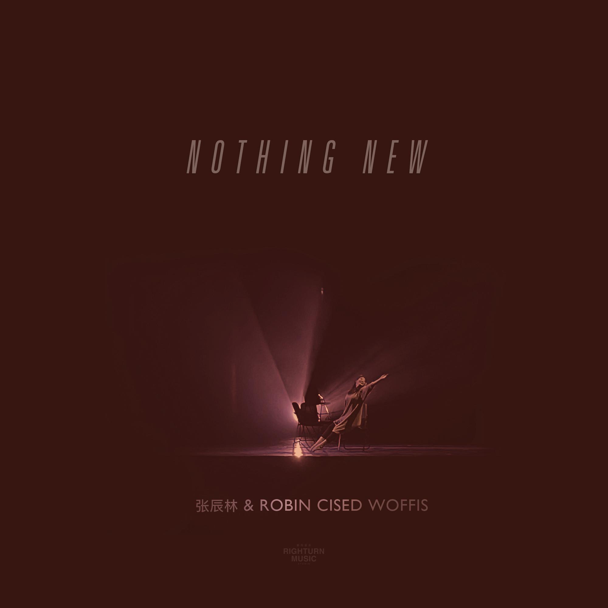 Nothing New - Single
