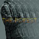 The Popest (Deluxe Version)专辑