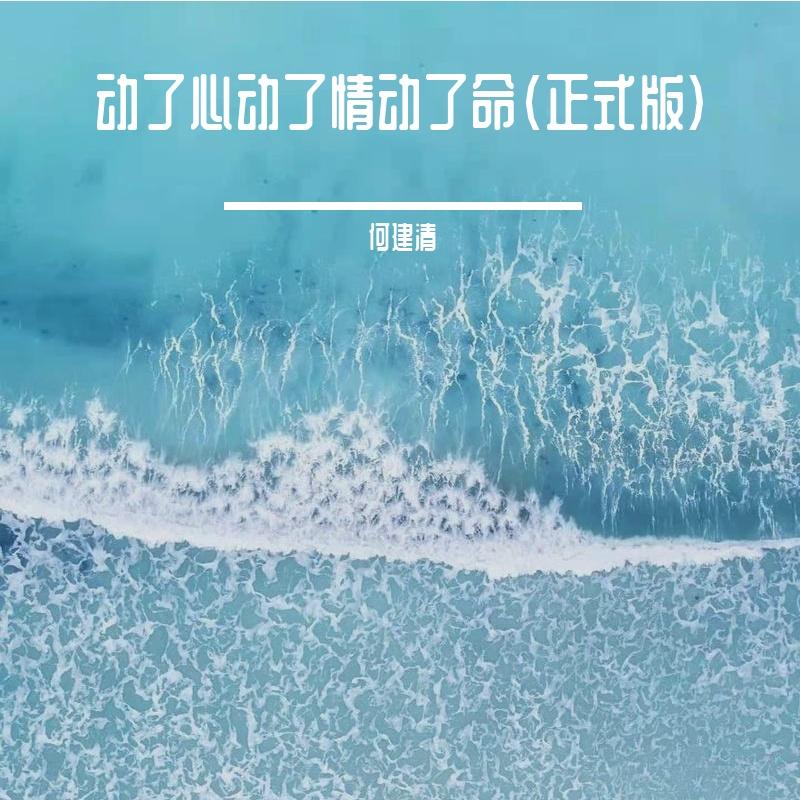 动了心动了情动了命（正式版）