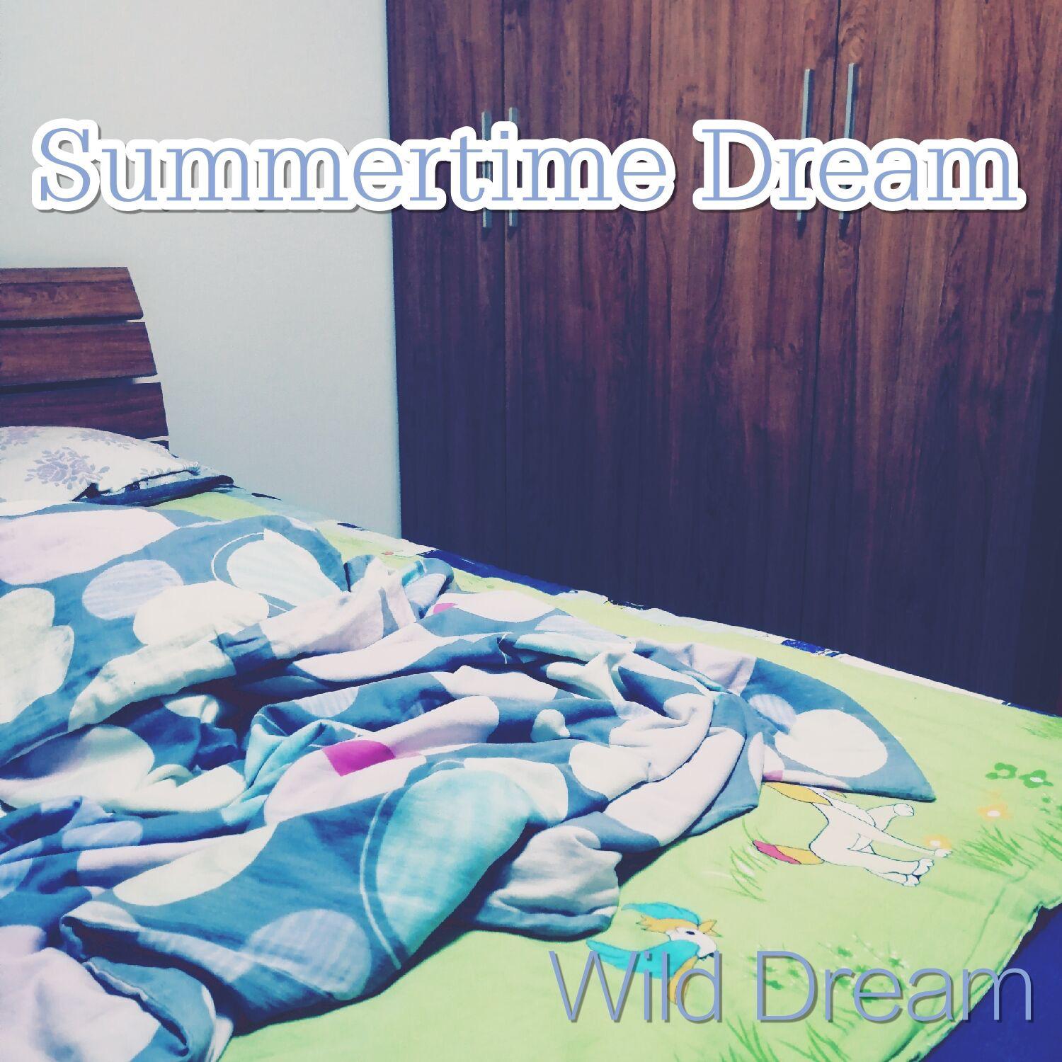 Summertime Dream专辑