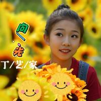 李砚、丁艺家 - 向光(官方《正版伴奏》)