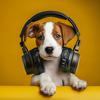 Separation Anxiety Dog Music - Comforting Paw Rhythms