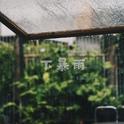 下暴雨专辑