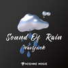 Sound Of Rain专辑