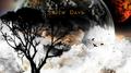 Seven Days专辑