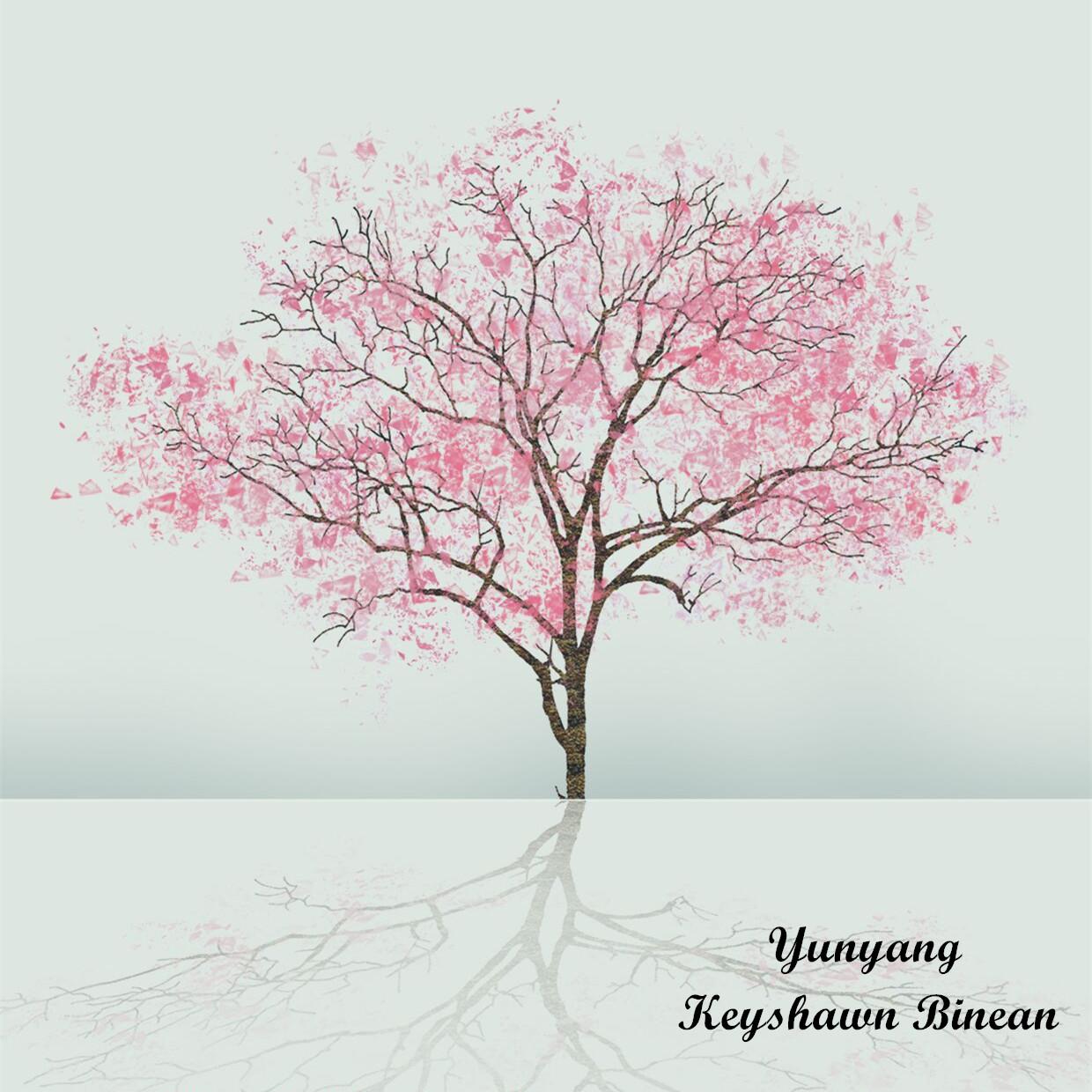 卡农钢琴随弹（Cover 卡农）