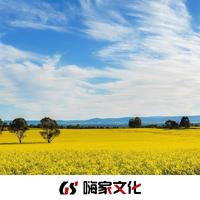 不爱你啊(达坂城的姑娘闽南语版)