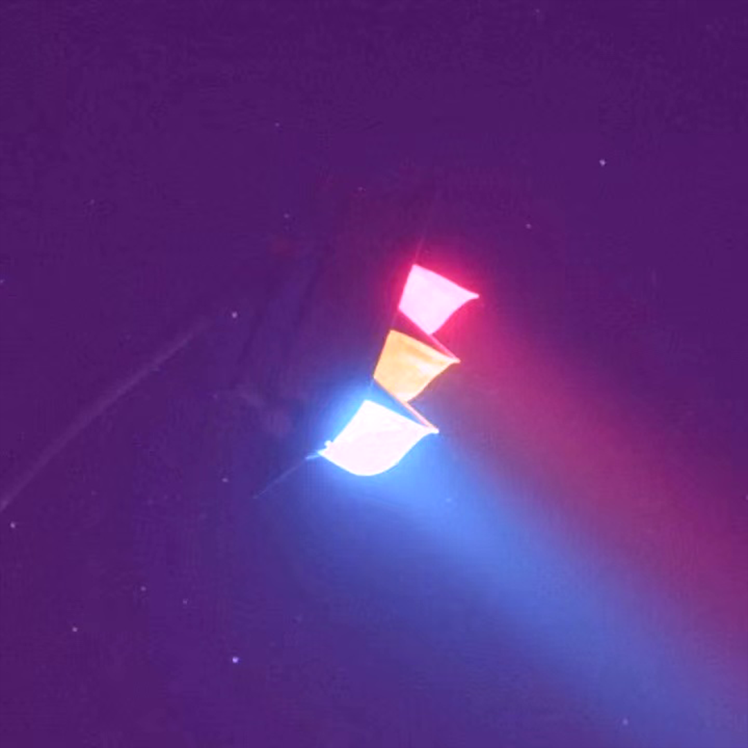 ''聚光灯下SPOTLIGHT''