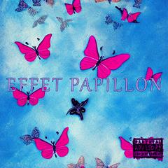 Effet Papillon