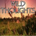 Wild Thoughts - Tribute to DJ Khaled and Rihanna and Bryson Tiller专辑