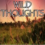 Wild Thoughts - Tribute to DJ Khaled and Rihanna and Bryson Tiller专辑