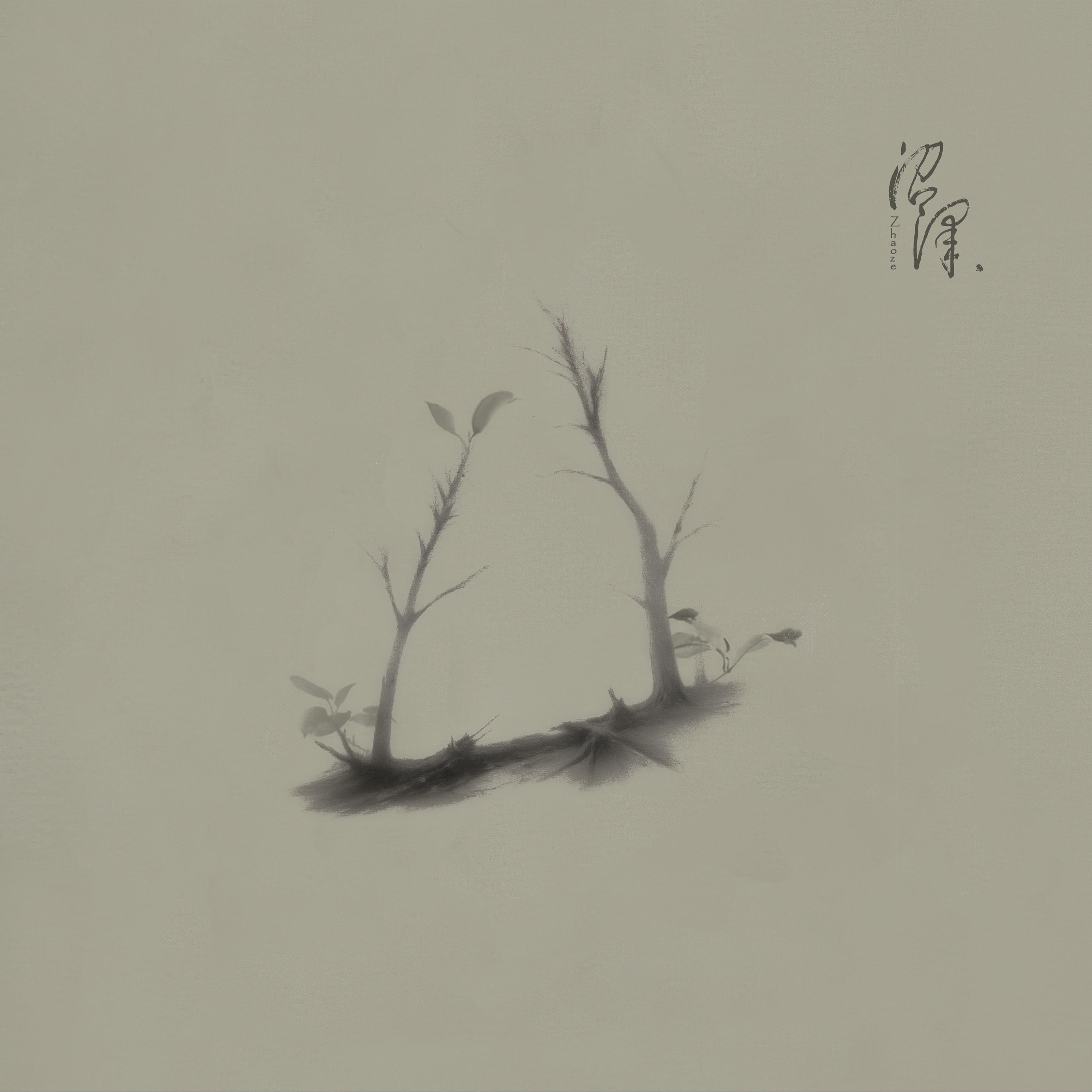 三角行专辑