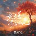 我吹着思念的风专辑