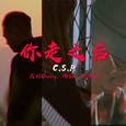 你走之后