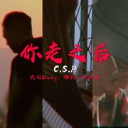 你走之后