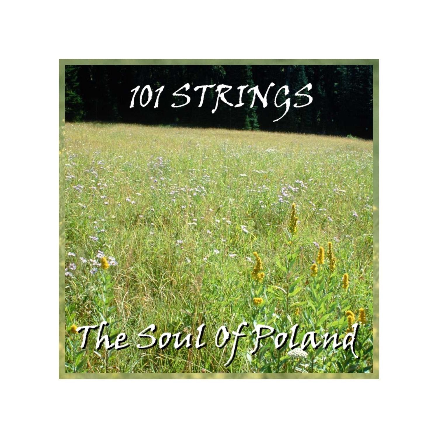 The Soul Of Poland