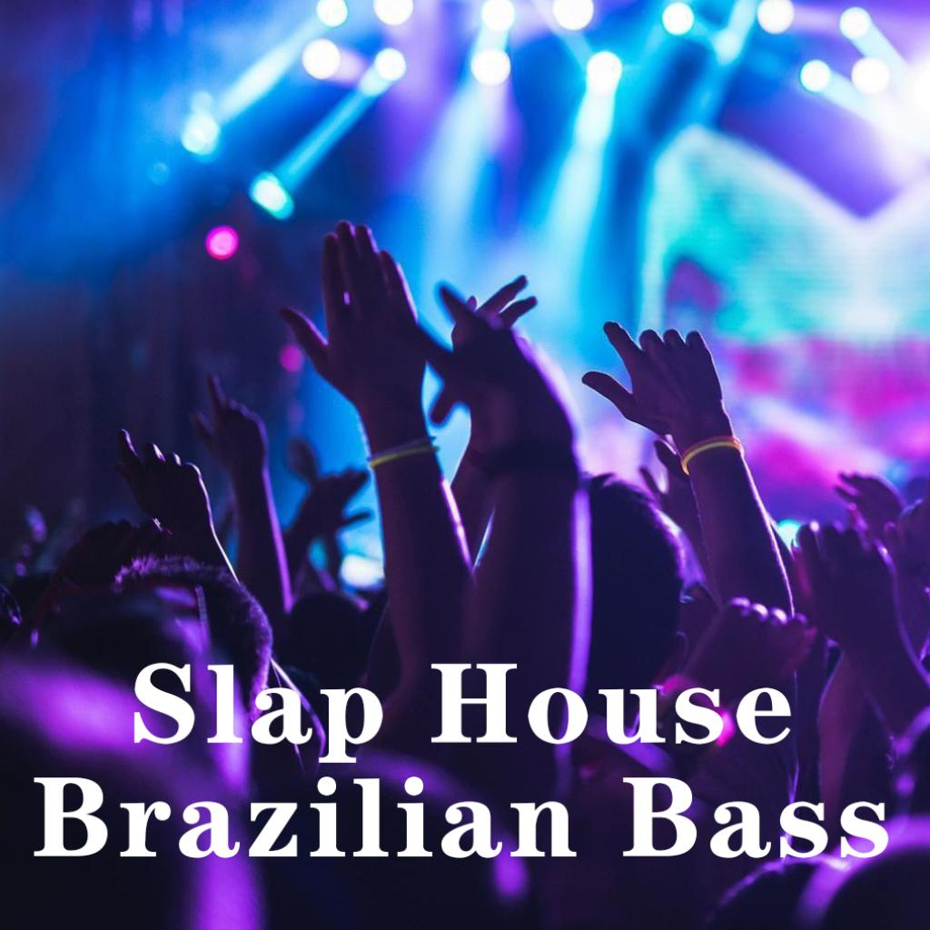 Slap House/Brazilian Bass