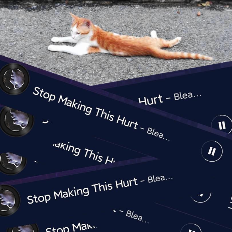 分裂(Splitting)"StopMakingThisHurt"allsummerlong.