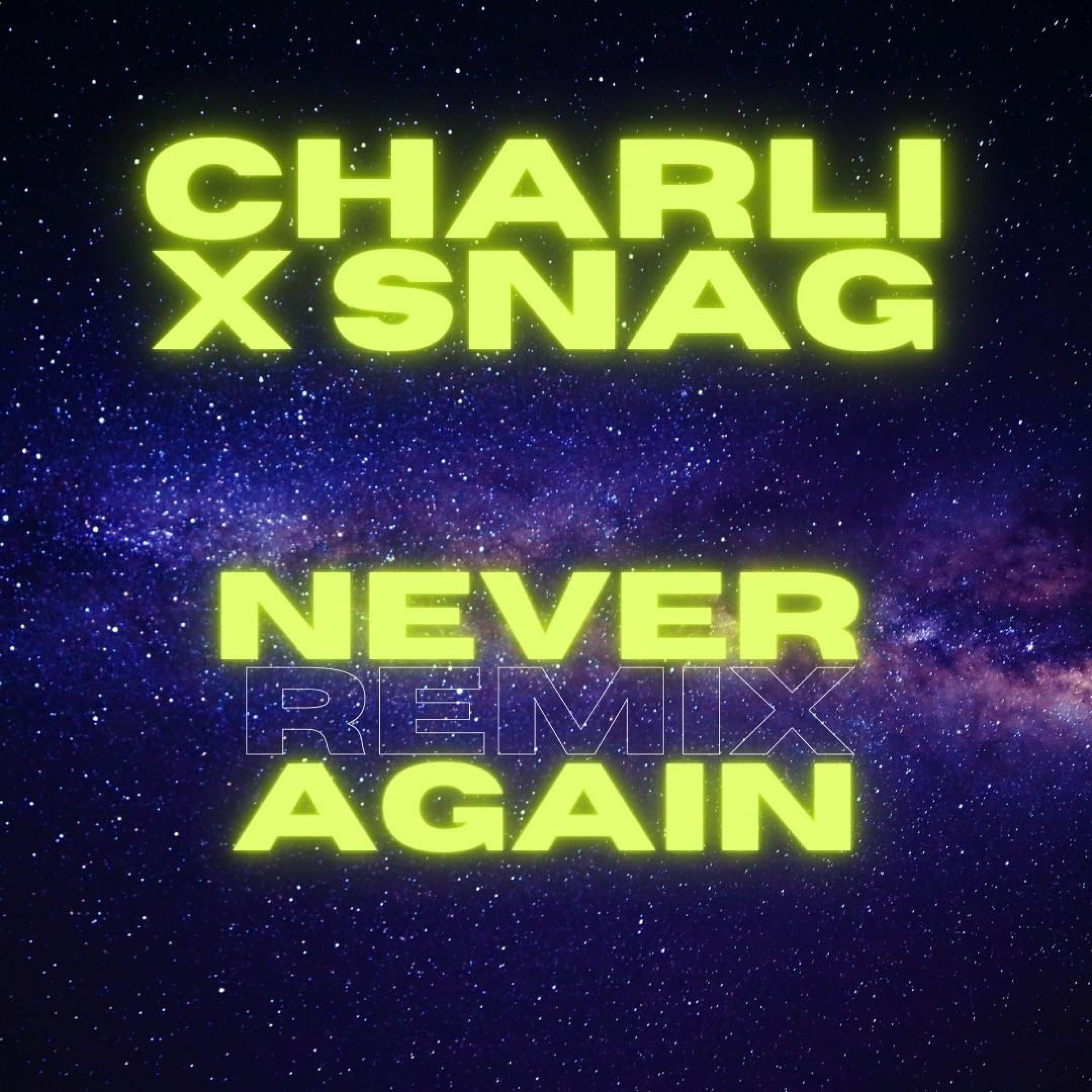 Never Again (feat. Charli) (Remix)