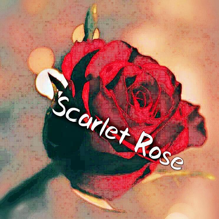 Scarlet Rose专辑