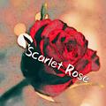 Scarlet Rose