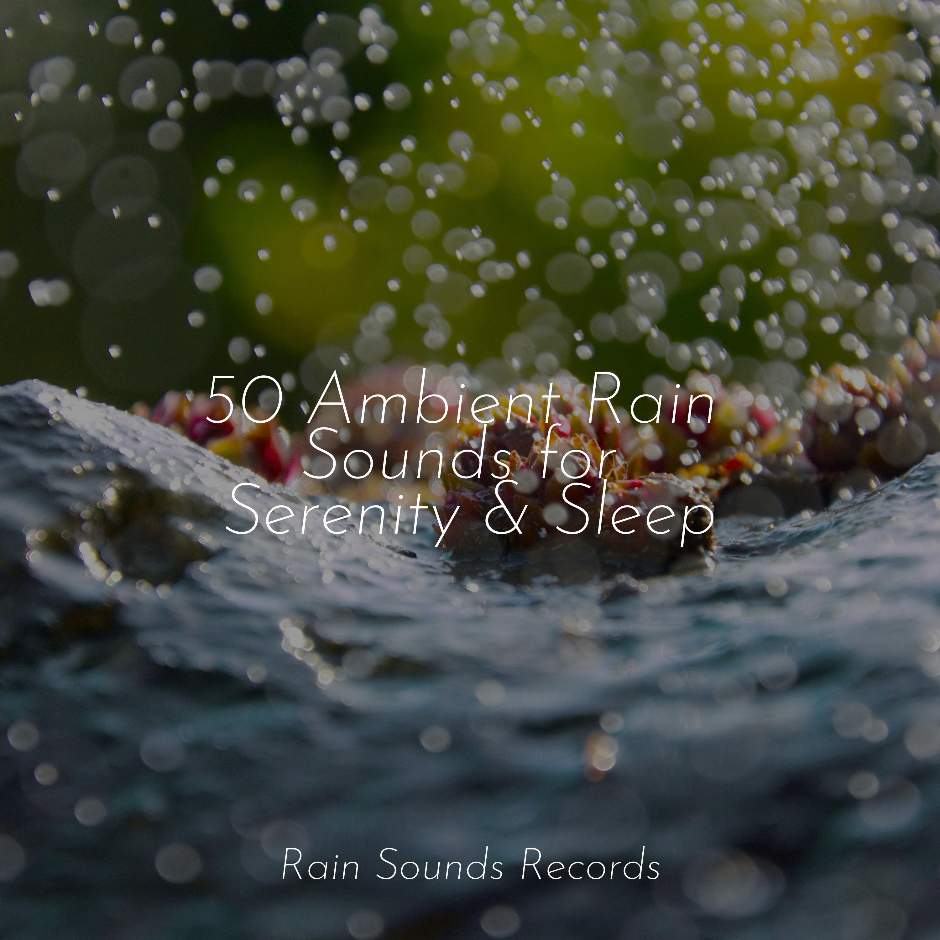 50 Ambient Rain Sounds for Serenity & Sleep - Musica Para Estudiar ...