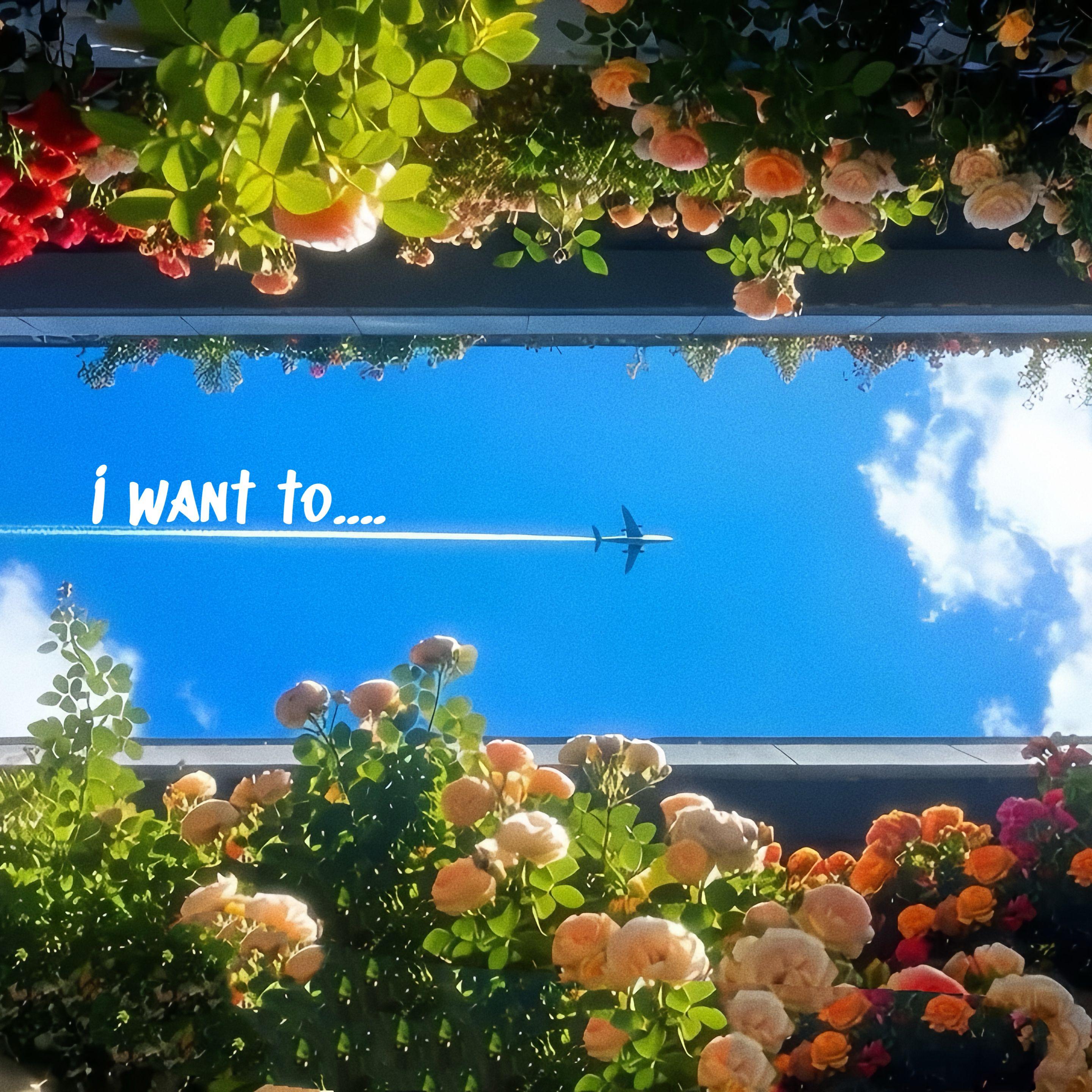 I want to...