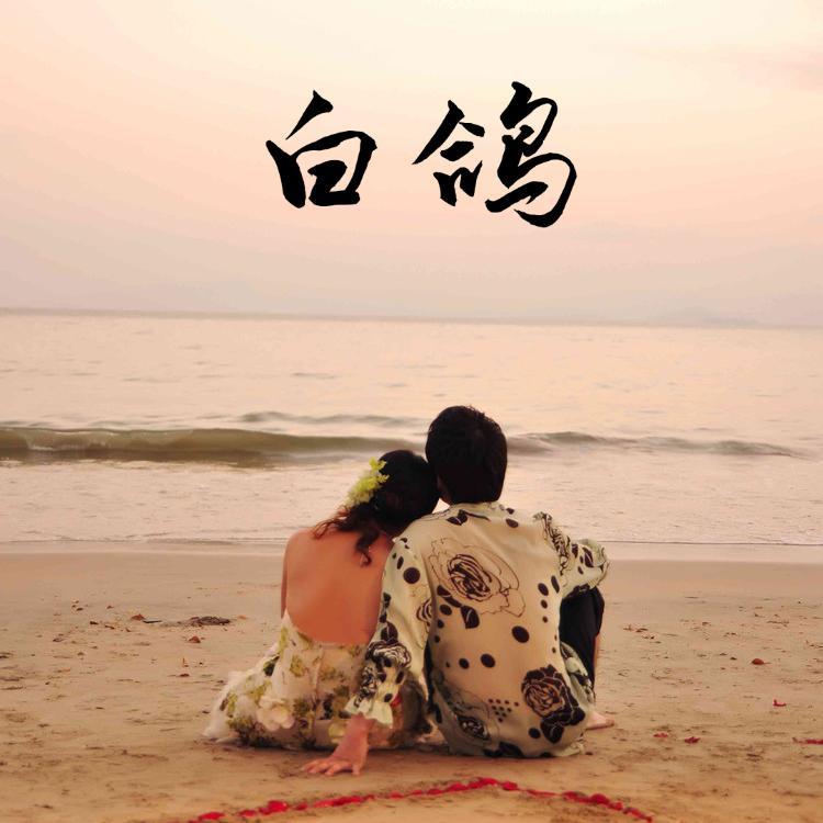 白鸽