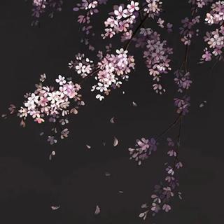 『曲作精选』细数古风圈原创作曲人❷