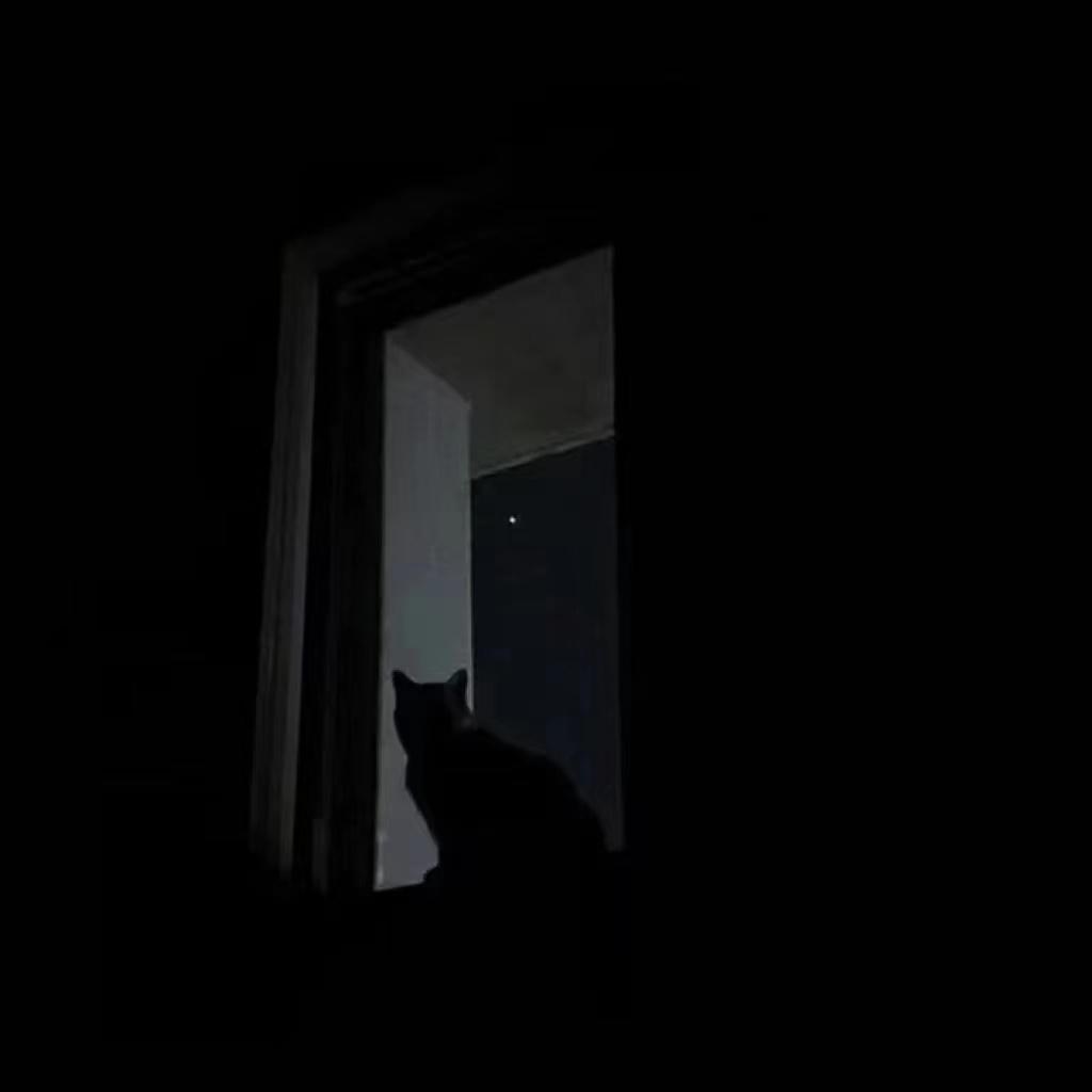 偏执型人格障碍