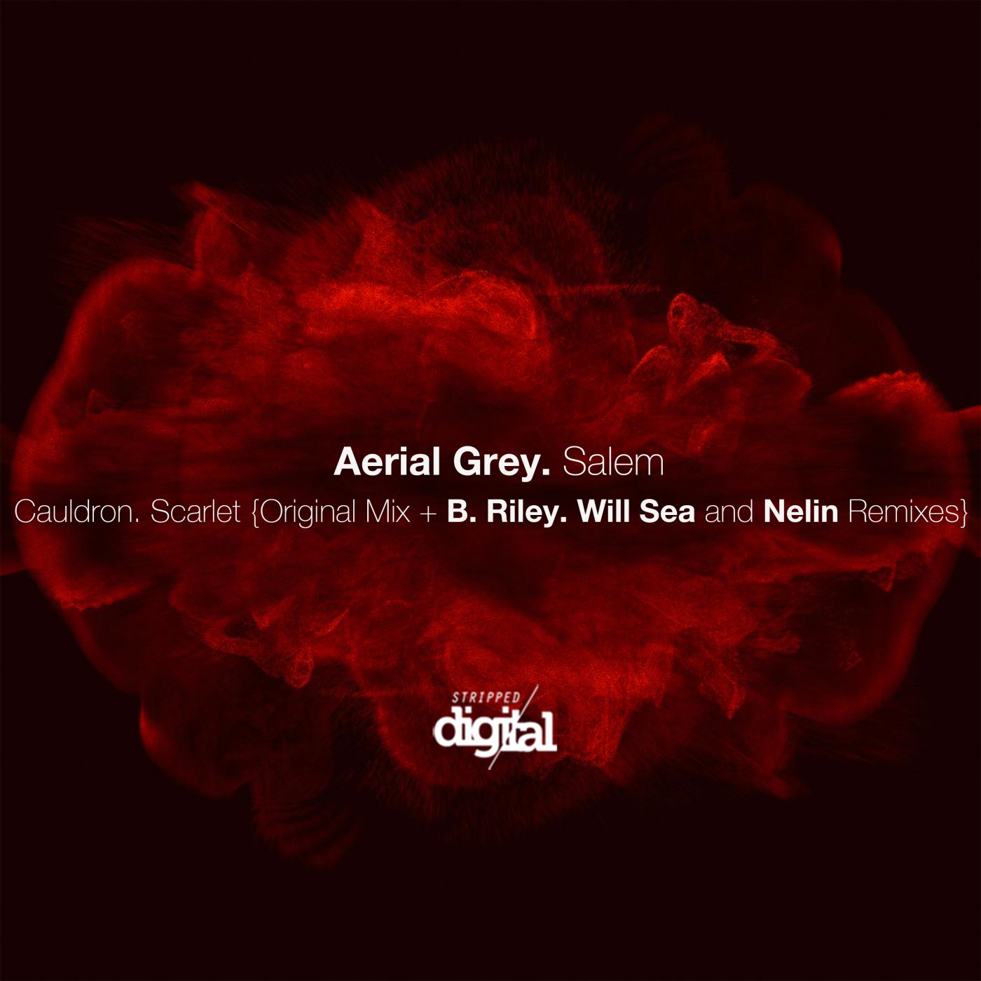 Aerial Grey - Scarlet (Nelin Remix)