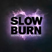 Slow Burn (feat. Alexa Ayaz) (Original Mix)