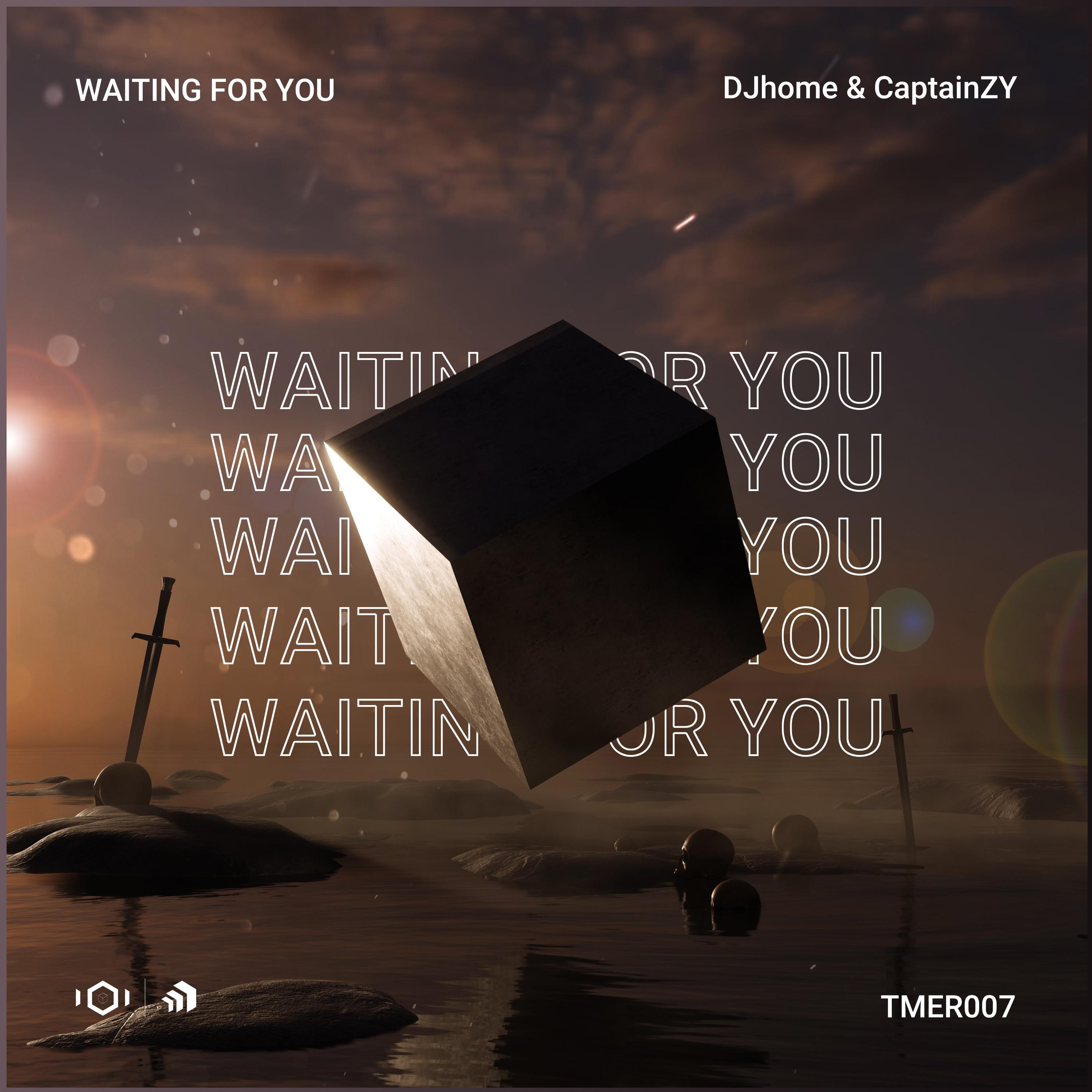 Waiting For You (Extended Mix)