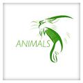 Animals - Single