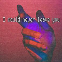 I could never leave you